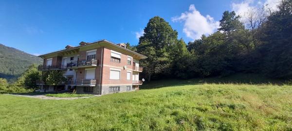 immagine annuncio 11 di 13