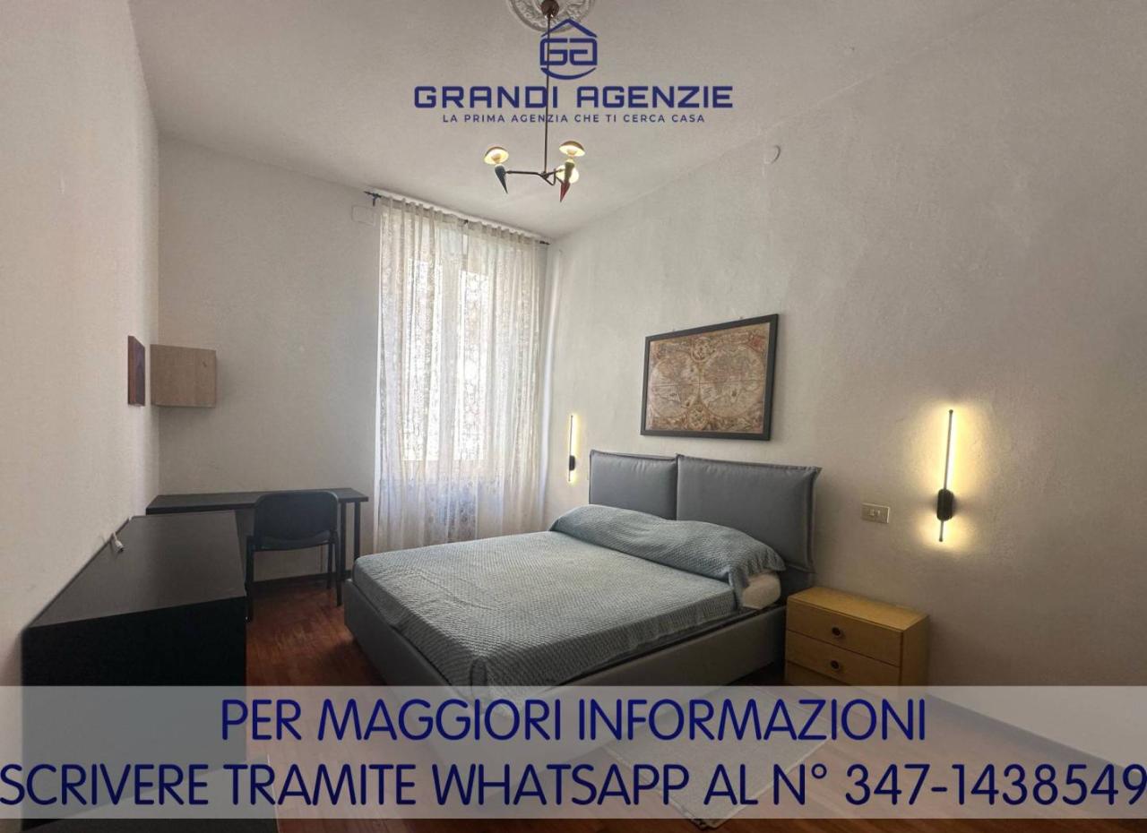 immagine annuncio 6 di 14