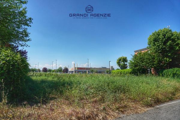 immagine annuncio 10 di 15