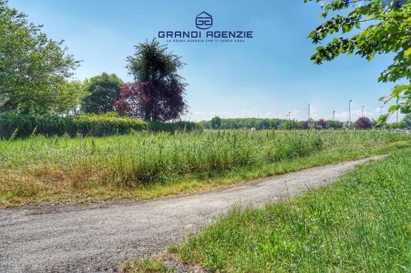 immagine annuncio 11 di 15