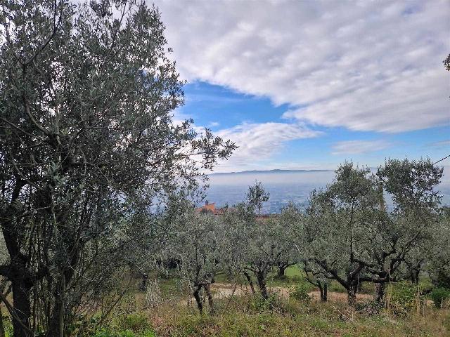 Terreno agricolo in Via del Collicello, Assisi - Foto 1