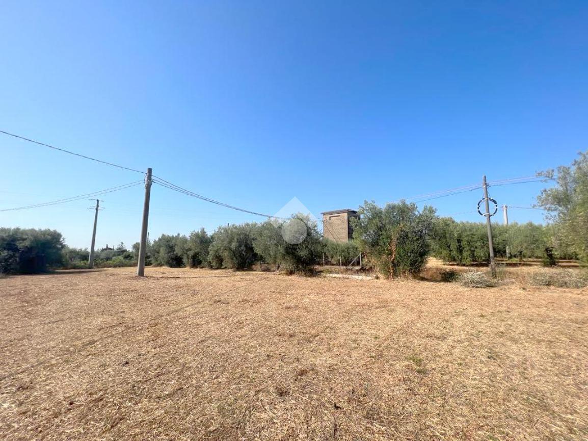 Terreno agricolo in vendita a Velletri