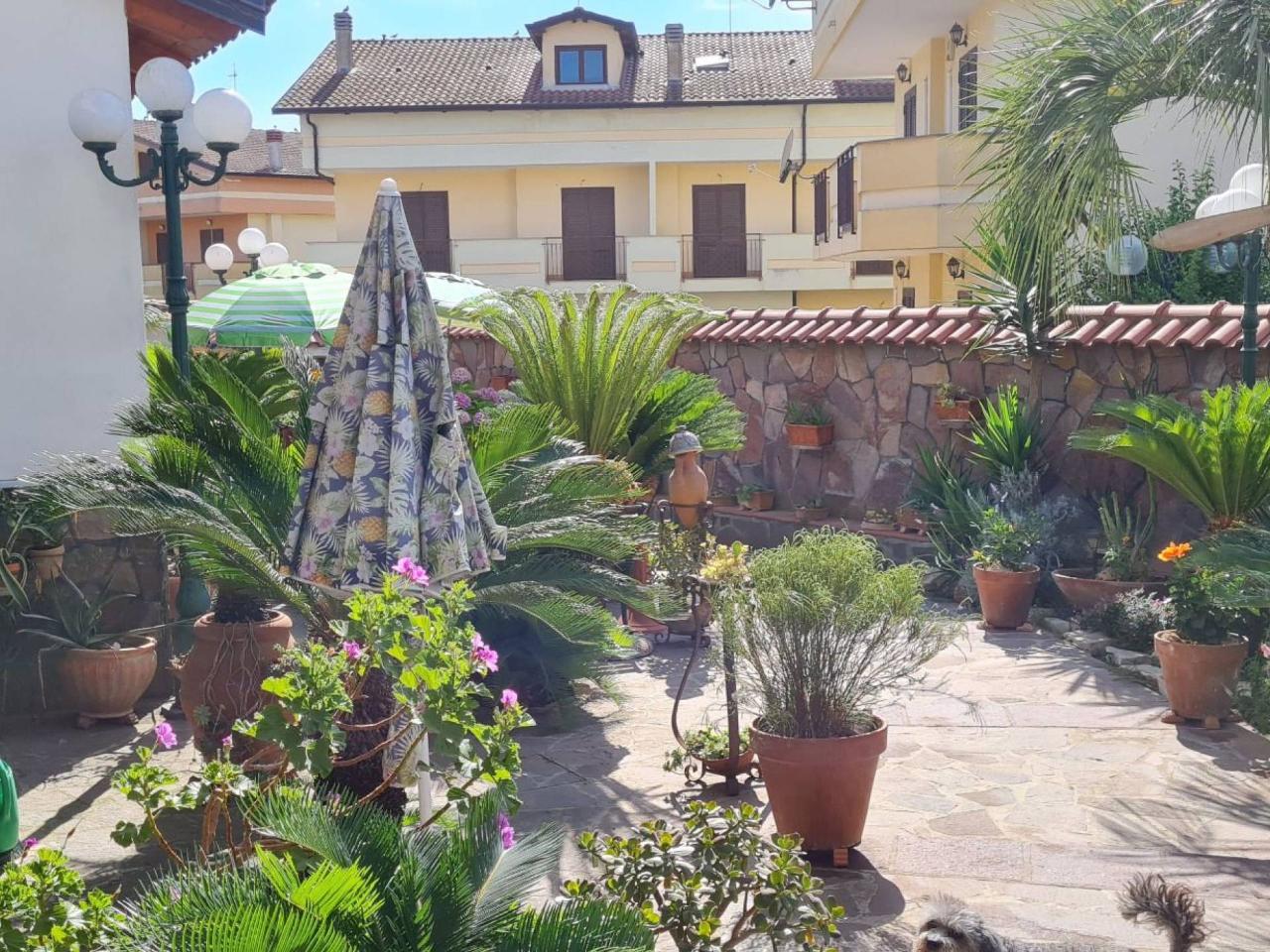 immagine annuncio 10 di 15