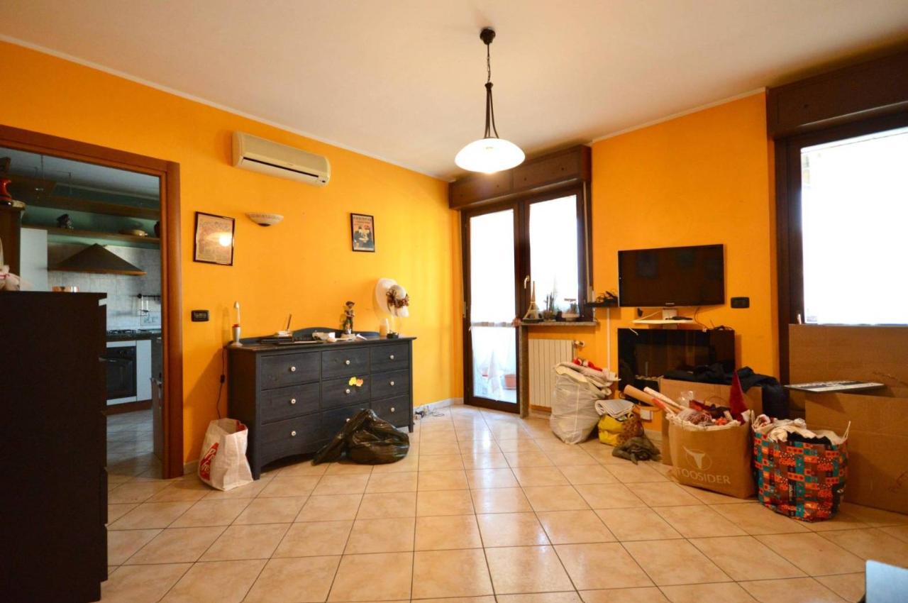 immagine annuncio 6 di 15