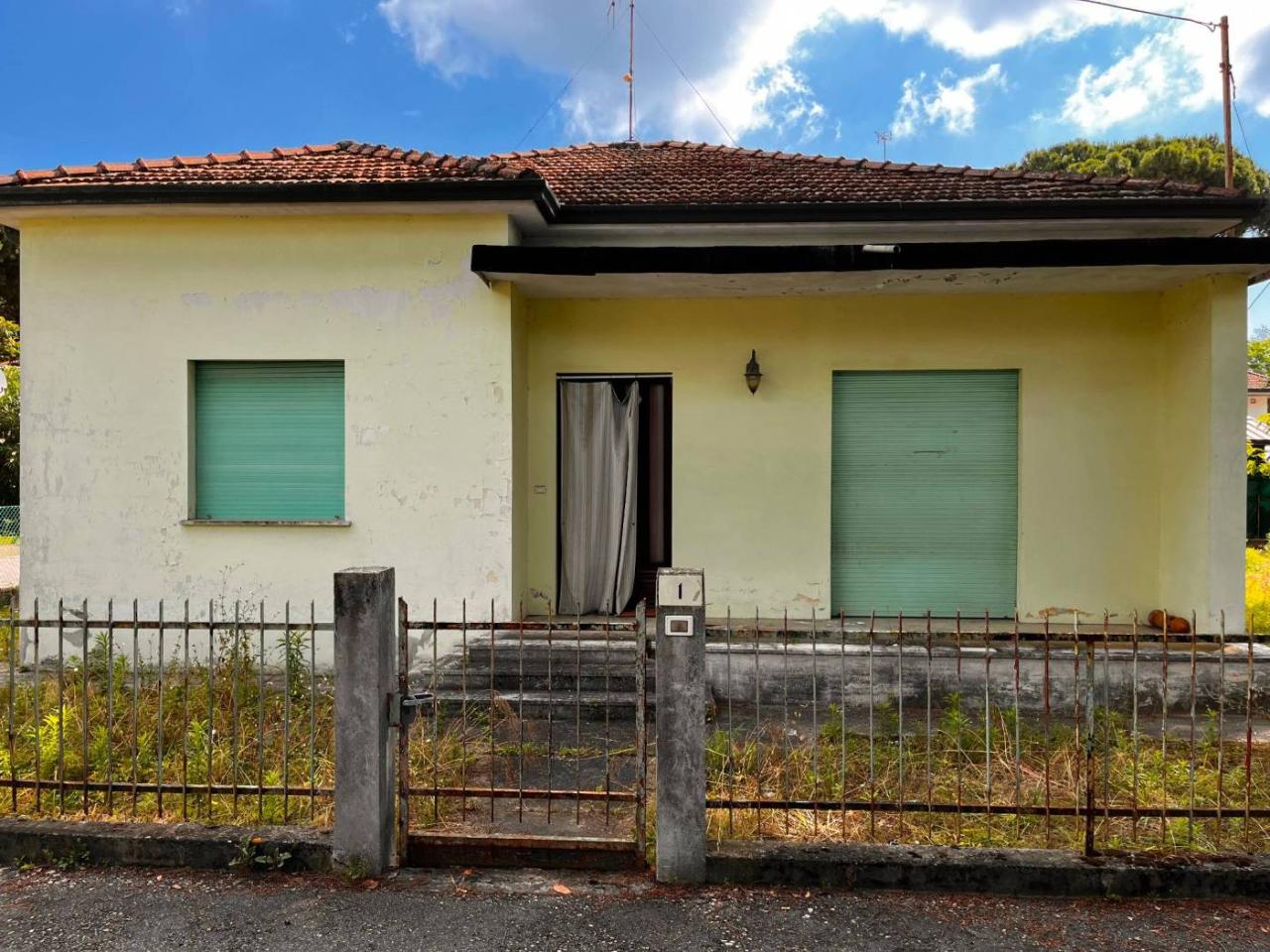 immagine annuncio 3 di 11