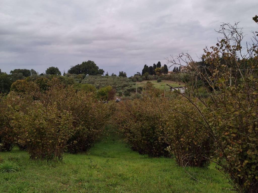 immagine annuncio 6 di 12