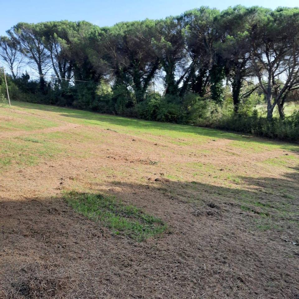 immagine annuncio 4 di 12