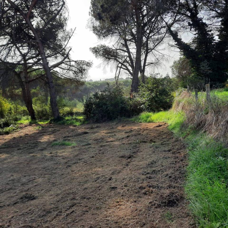 immagine annuncio 8 di 12