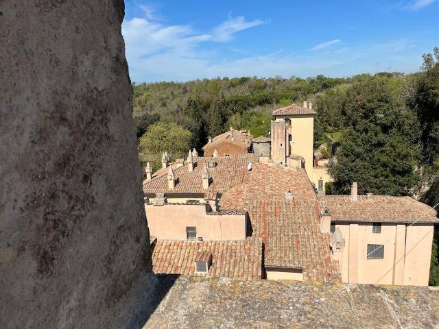 Penthouse in {3}, Piazza di Torrimpietra - Foto 1