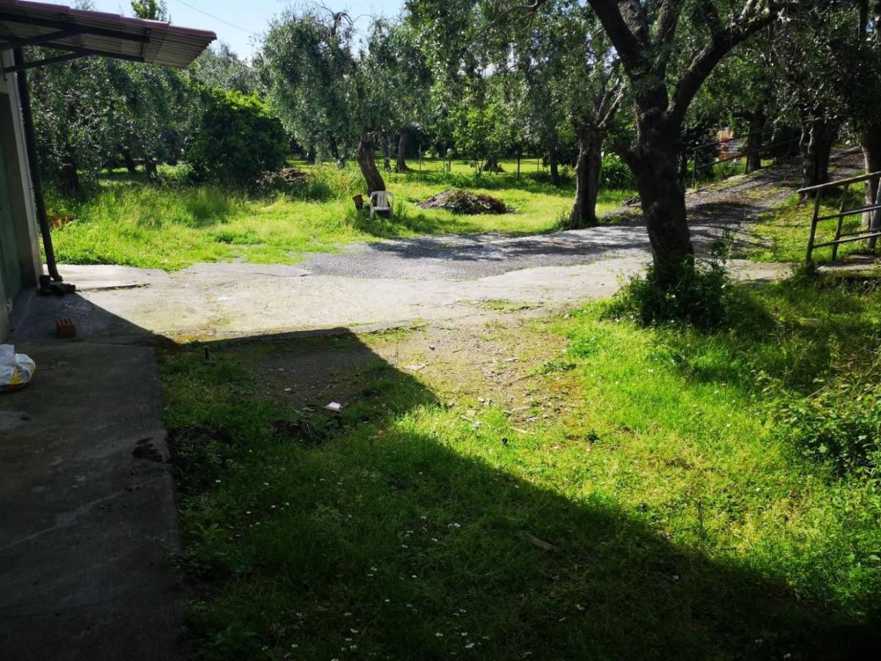 casa indipendente in vendita a Montignoso in zona Cervaiolo