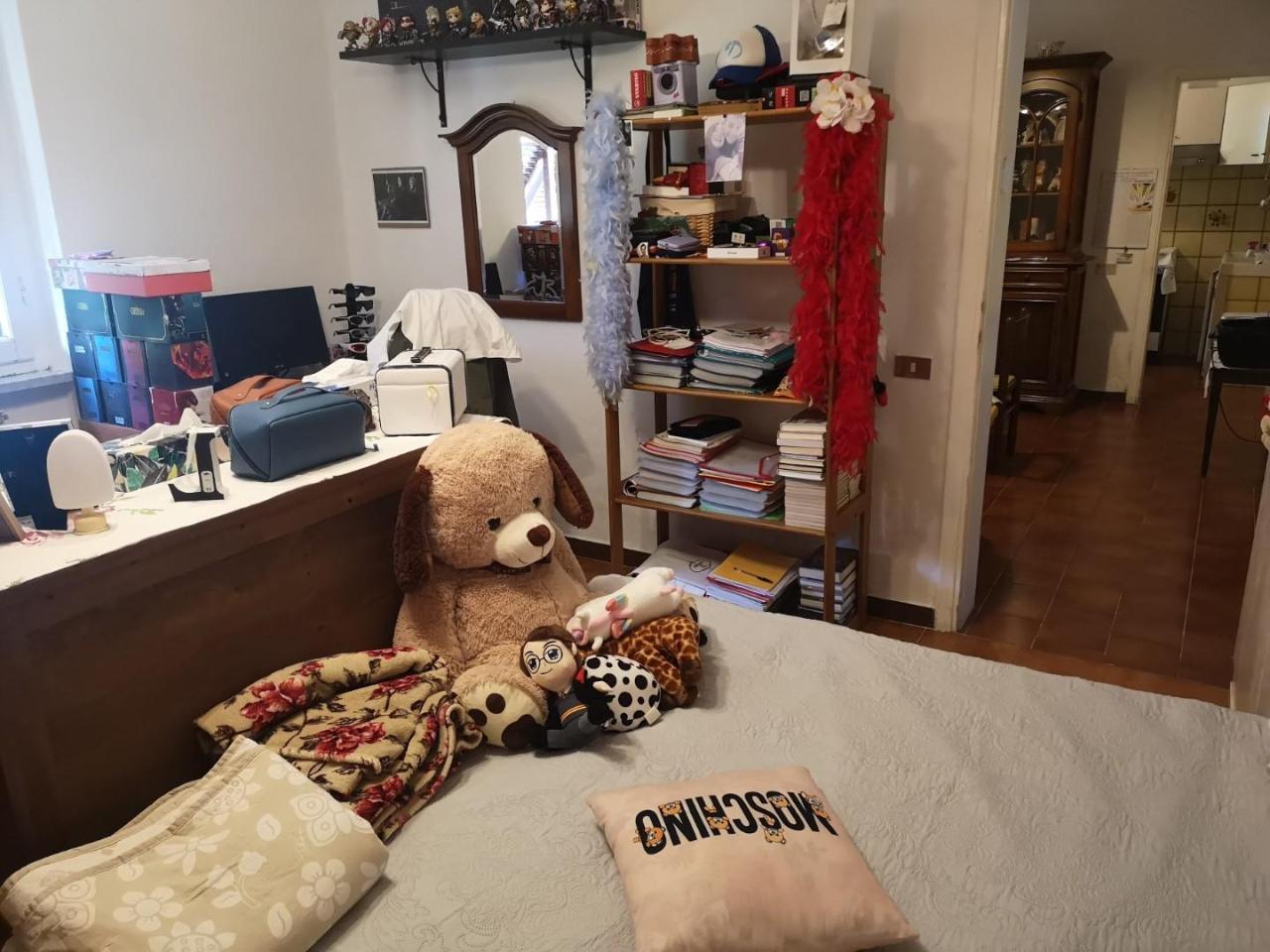 immagine annuncio 11 di 15