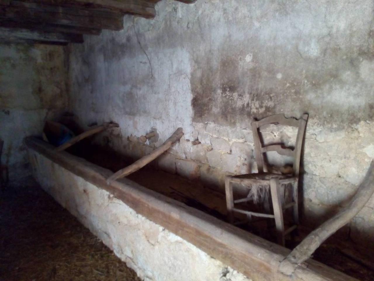 immagine annuncio 3 di 6
