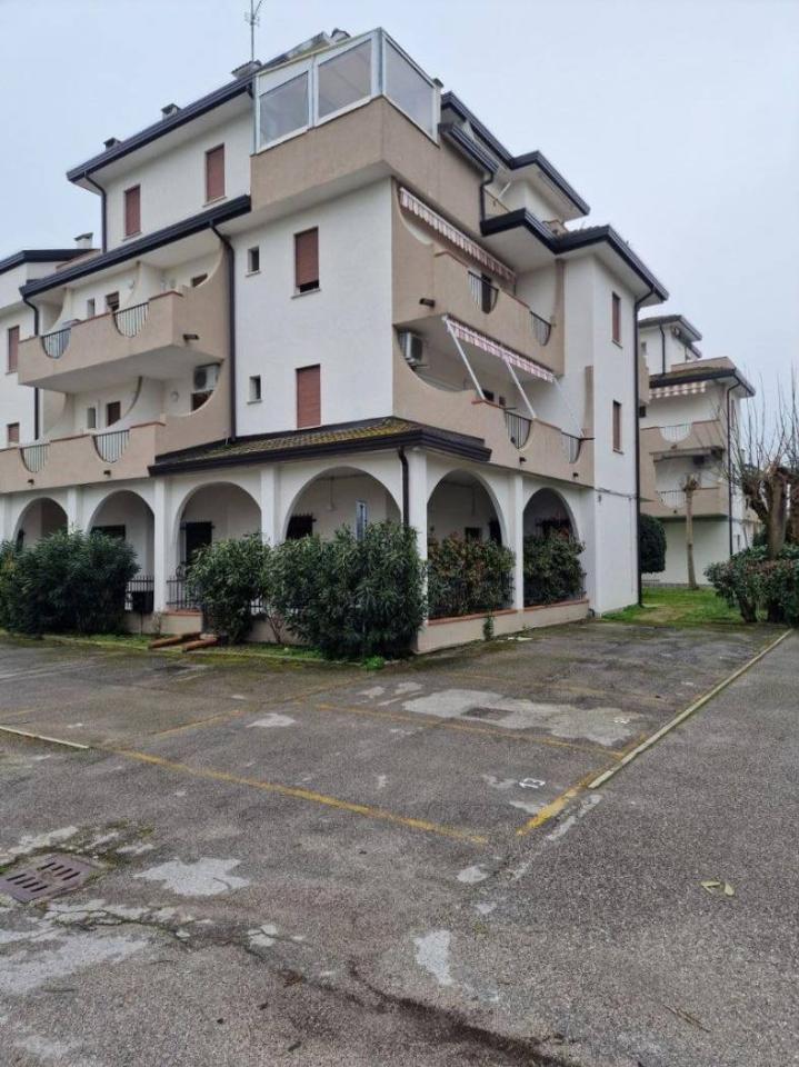 immagine annuncio 8 di 12