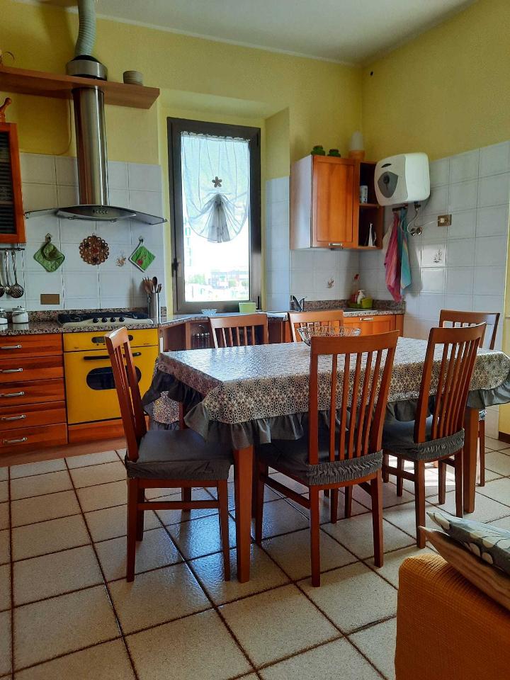 immagine annuncio 9 di 15