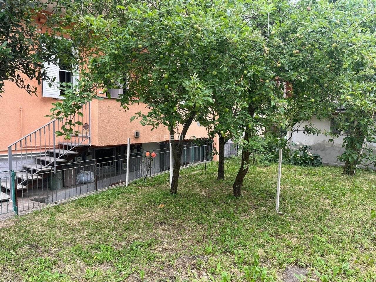 immagine annuncio 11 di 14