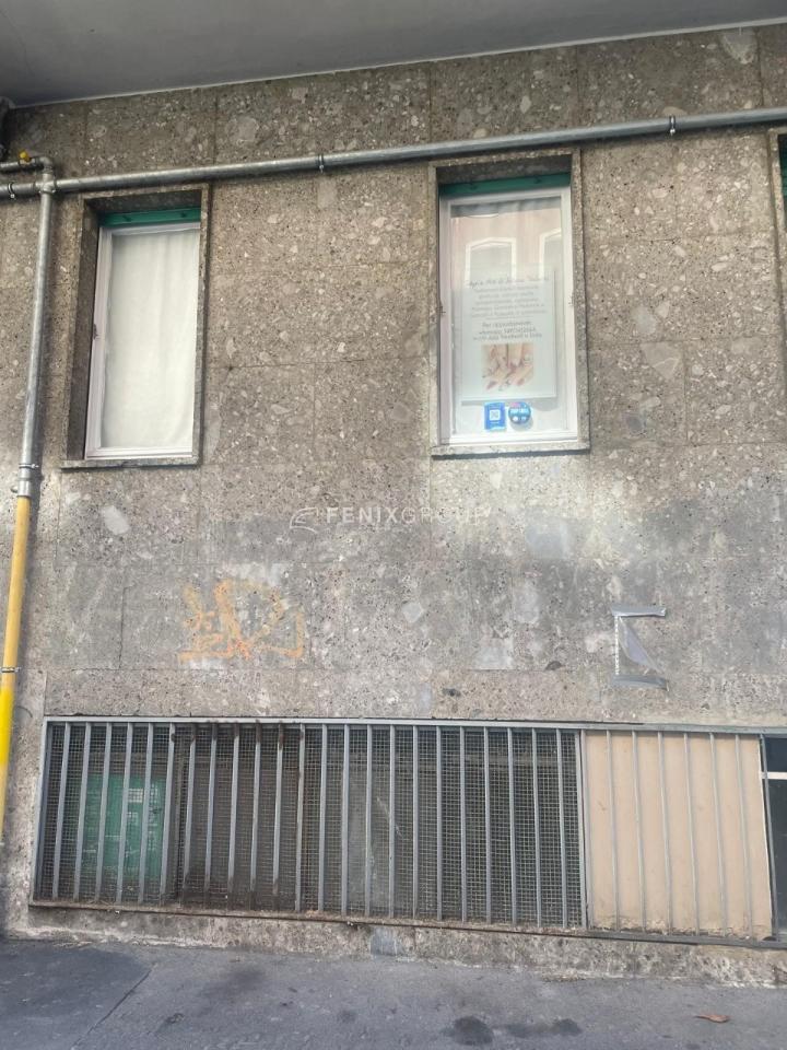 immagine annuncio 10 di 14