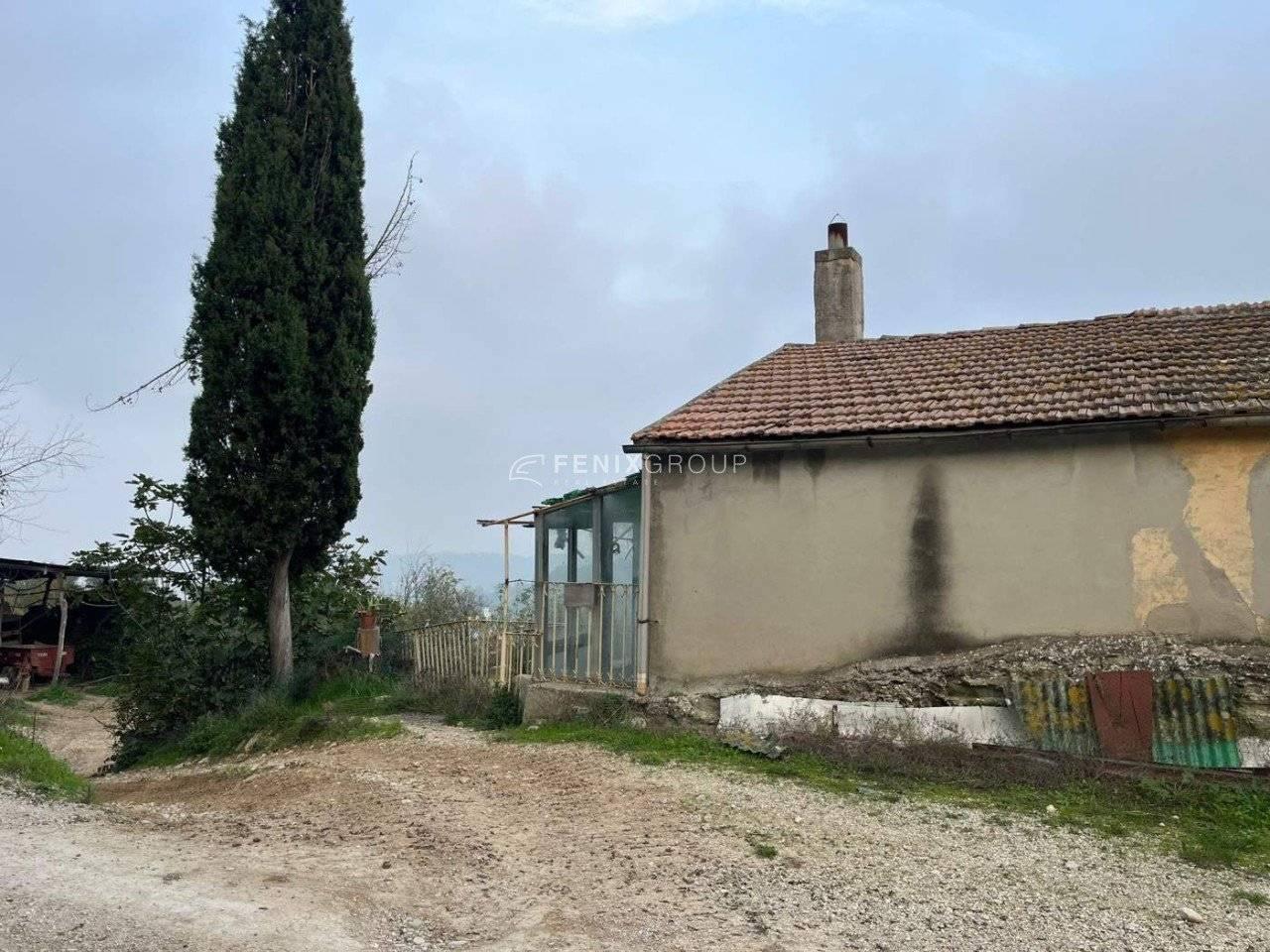 immagine annuncio 8 di 11