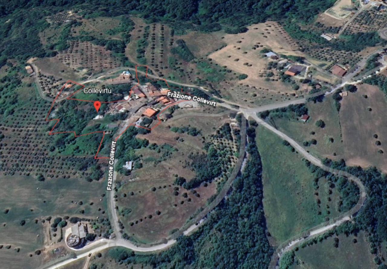 immagine annuncio 7 di 13
