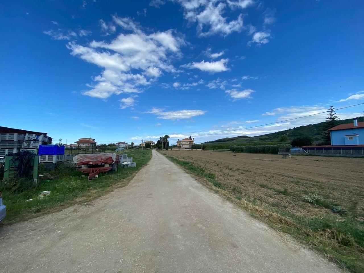 immagine annuncio 2 di 8