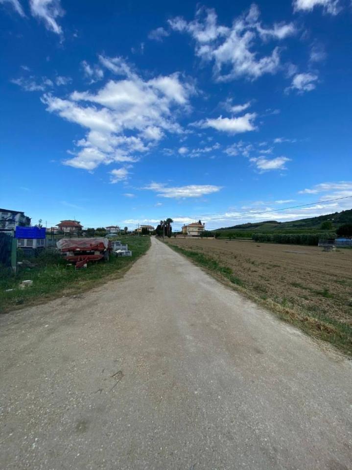 immagine annuncio 6 di 8