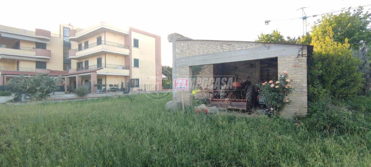 immagine annuncio 11 di 12