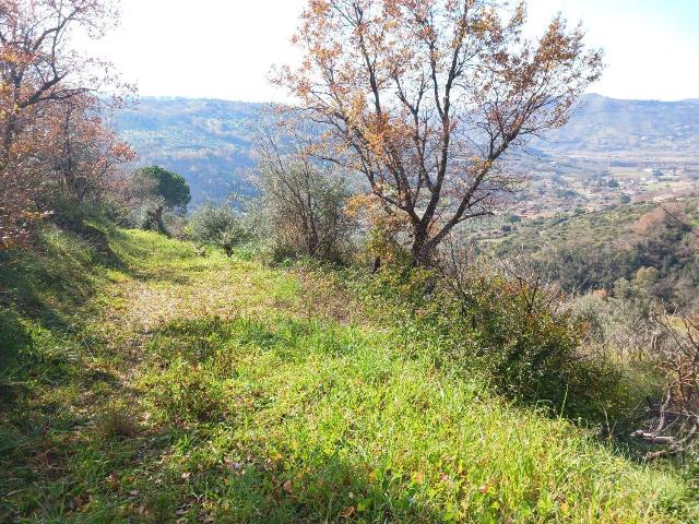 Agrargrundstück in Via Frascinelle, 87, Agropoli - Foto 1