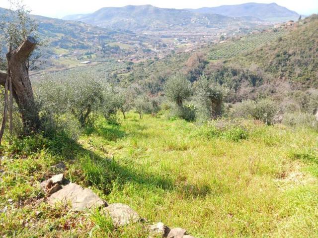 Agricultural land in Via Frascinelle, Agropoli - Photo 1