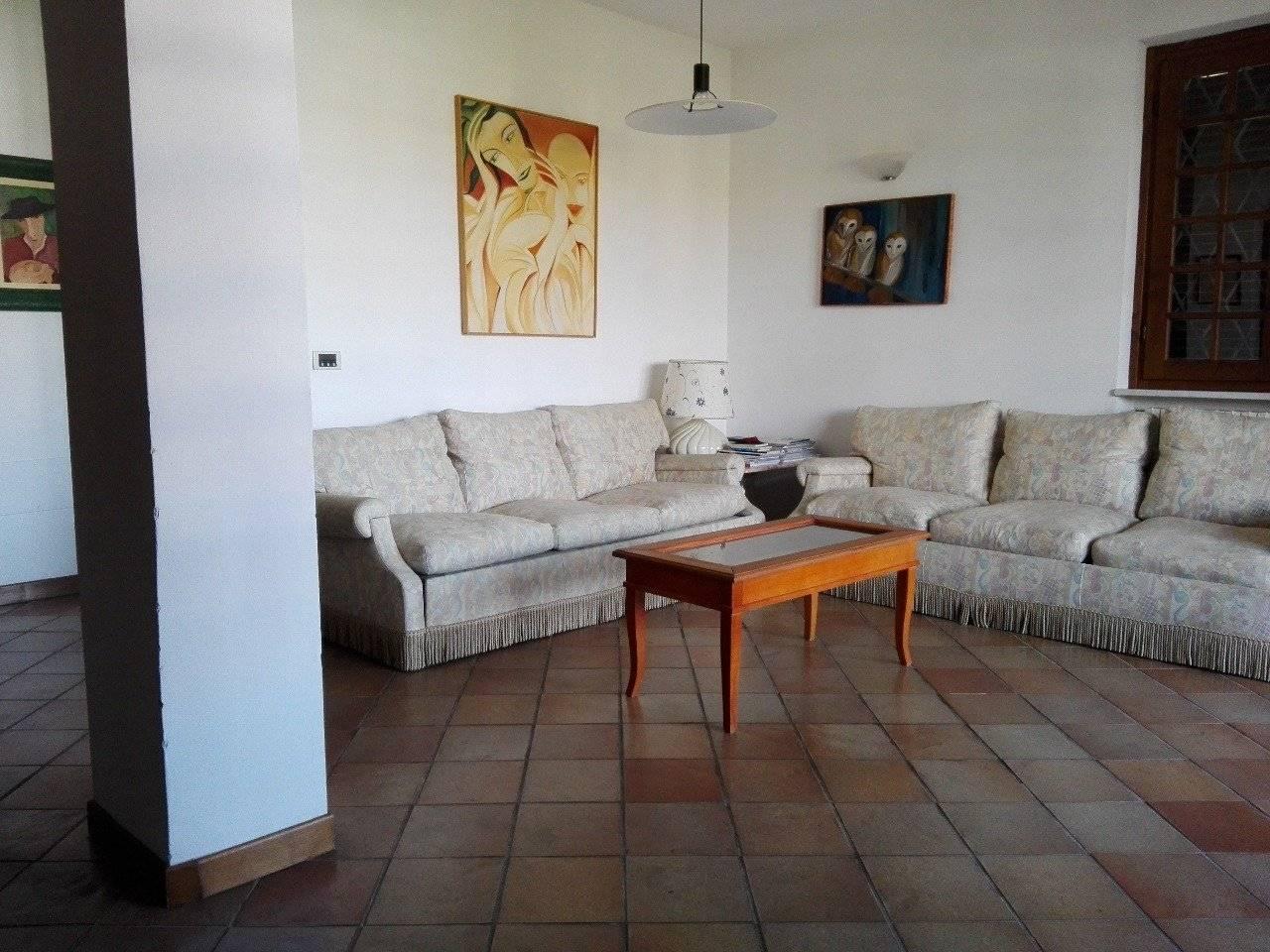 immagine annuncio 11 di 14