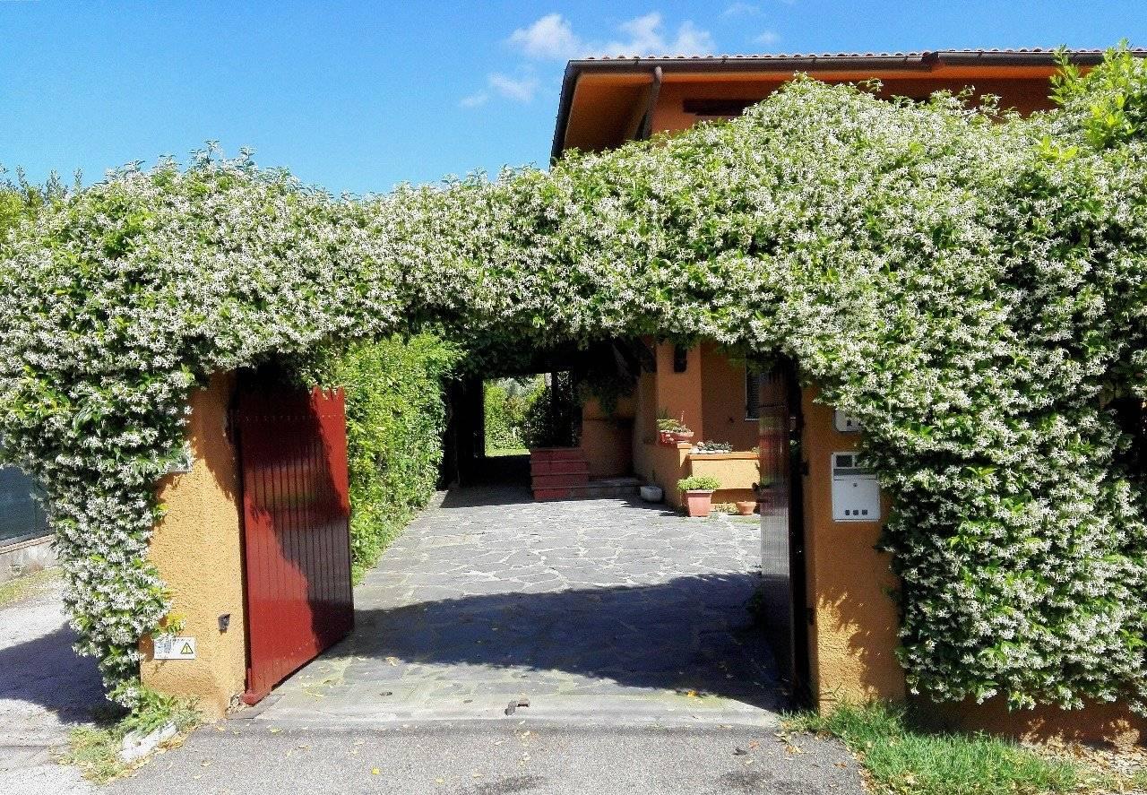 immagine annuncio 10 di 14