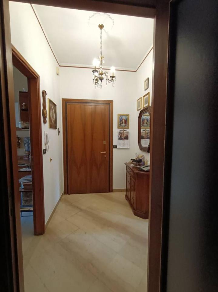 immagine annuncio 6 di 14