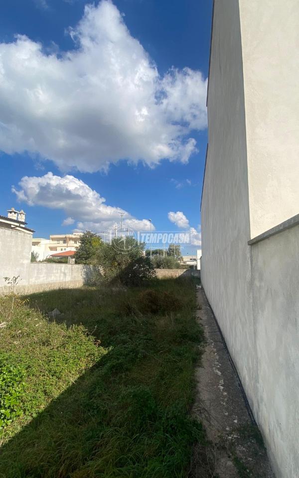 immagine annuncio 3 di 12
