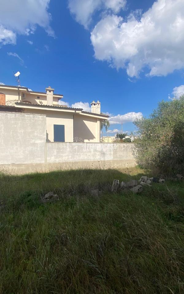 immagine annuncio 8 di 12