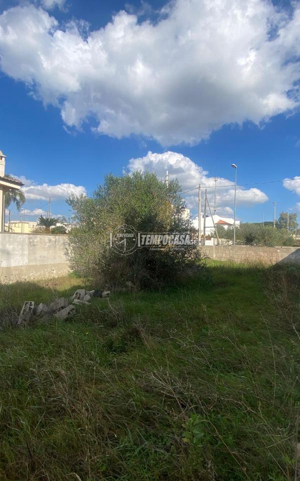 immagine annuncio 10 di 12