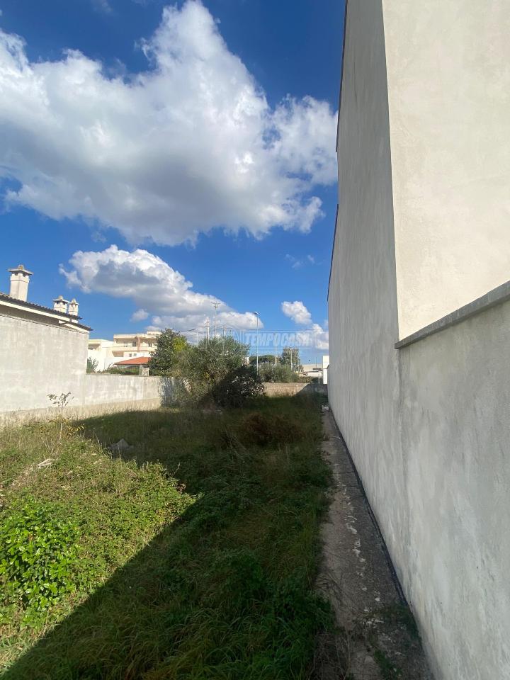 immagine annuncio 3 di 12