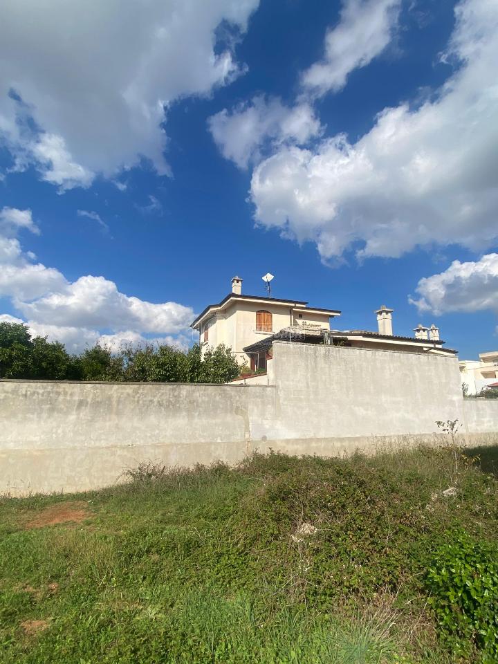 immagine annuncio 5 di 12