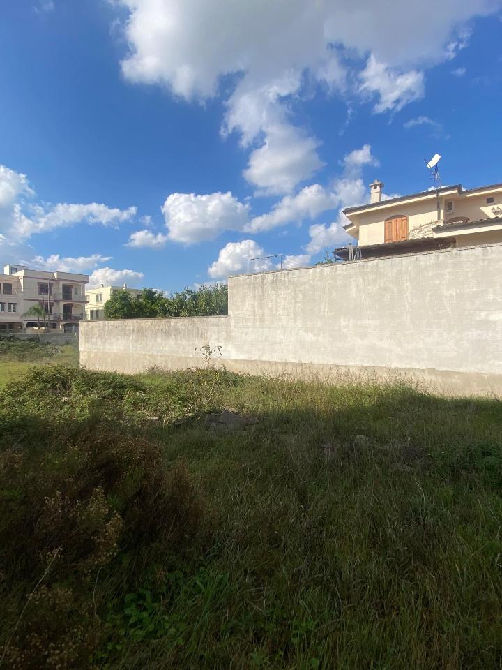 immagine annuncio 9 di 12