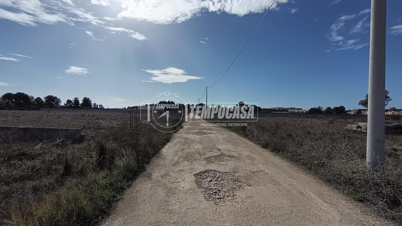 immagine annuncio 3 di 13