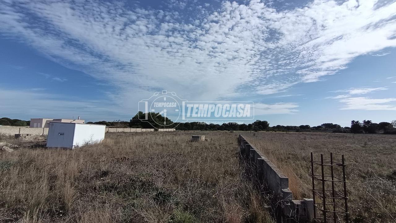 immagine annuncio 4 di 13