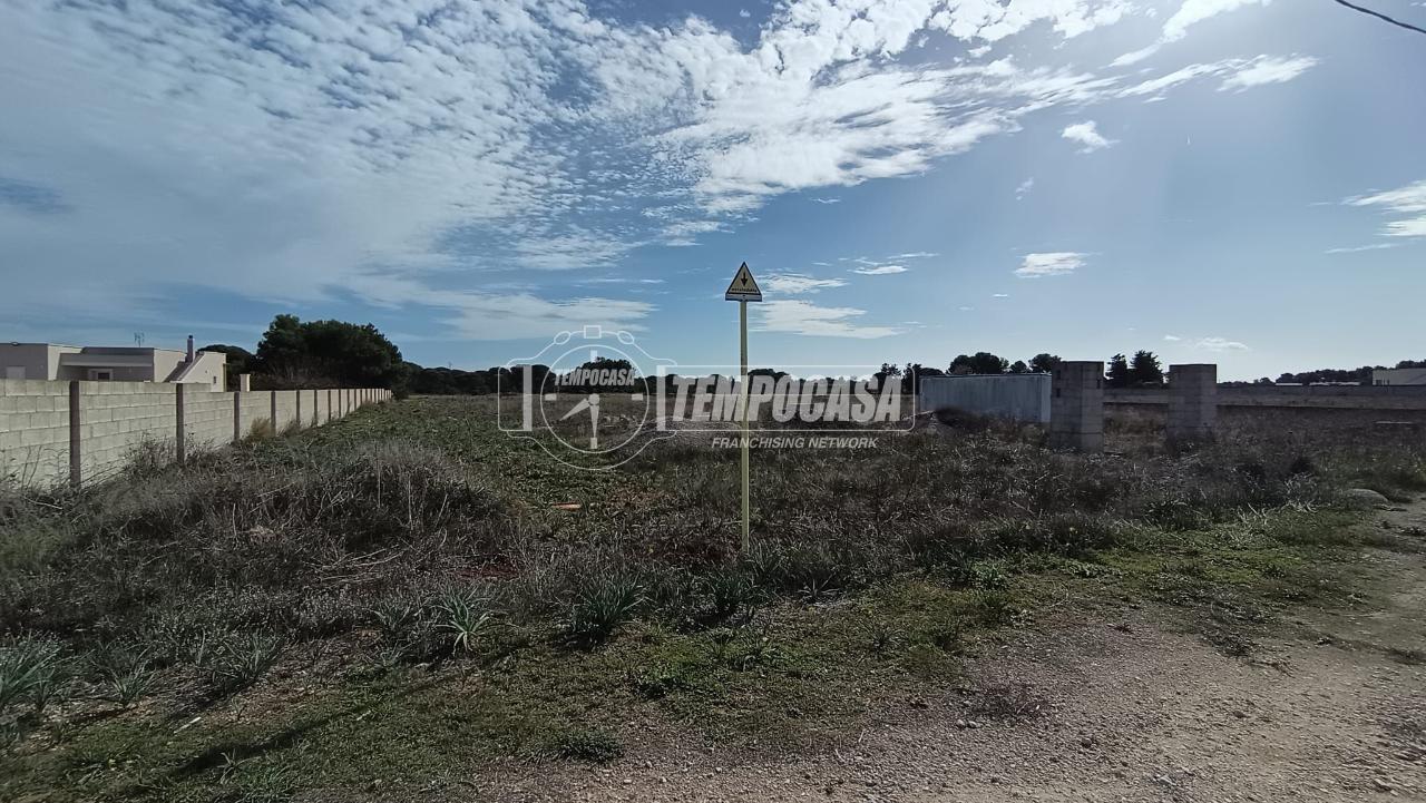 immagine annuncio 9 di 13