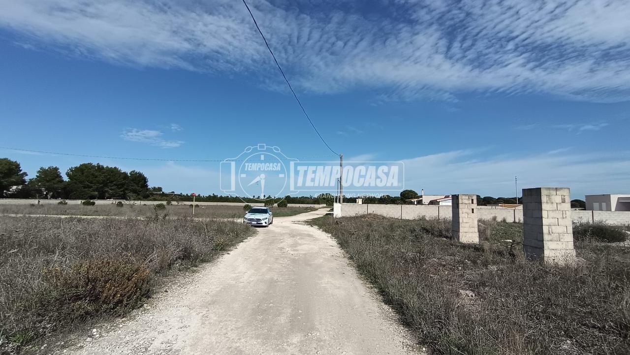 immagine annuncio 7 di 13