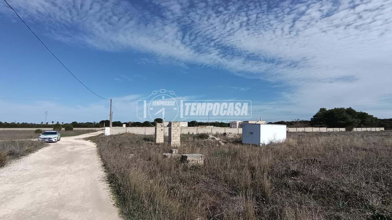 immagine annuncio 6 di 13