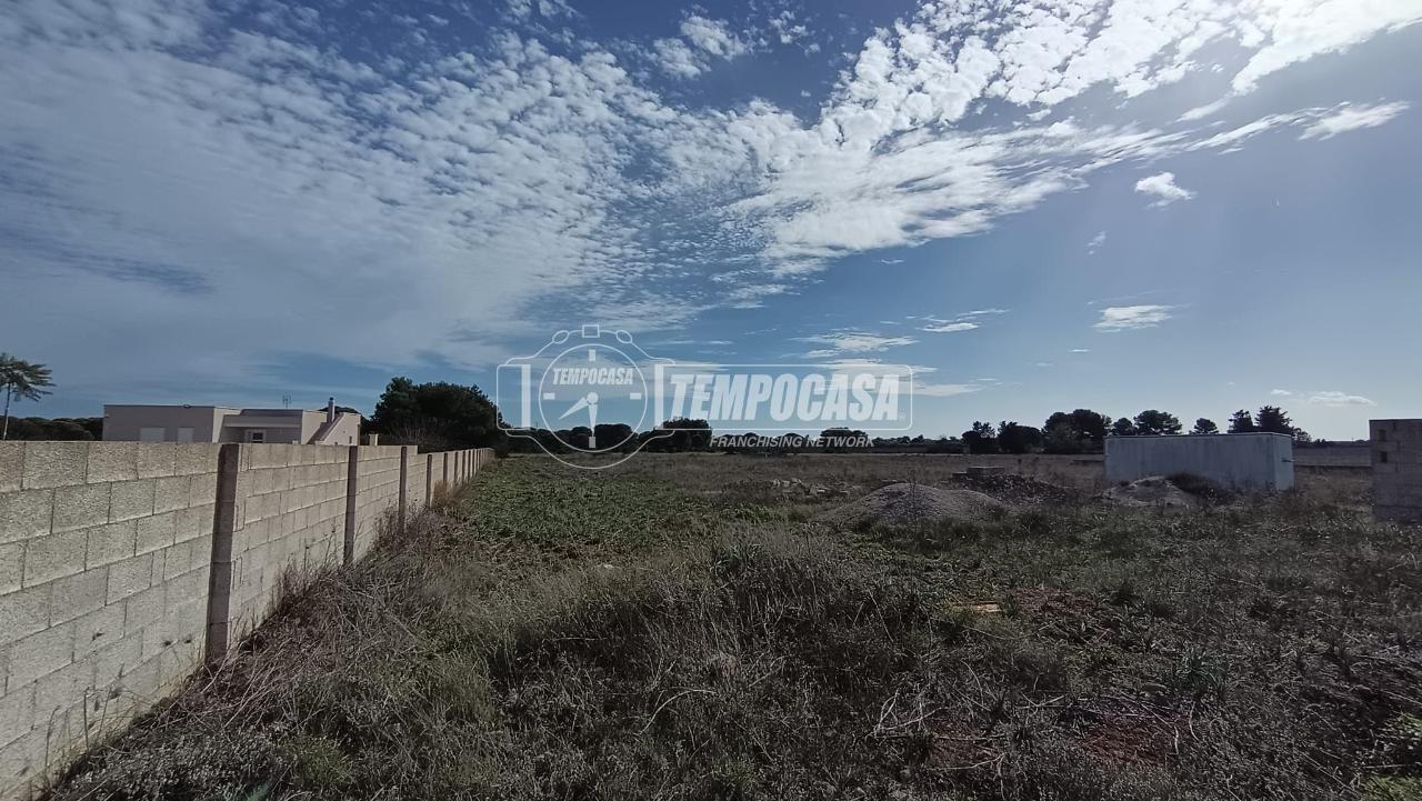 immagine annuncio 8 di 13