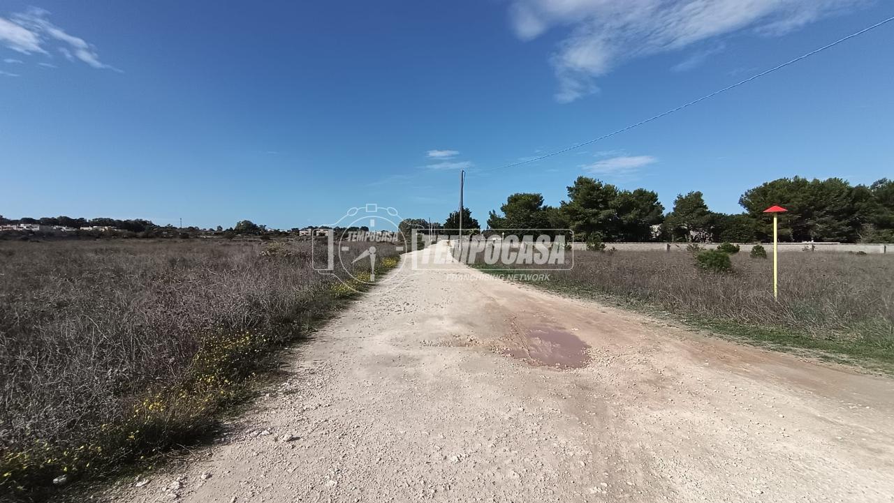 immagine annuncio 11 di 13