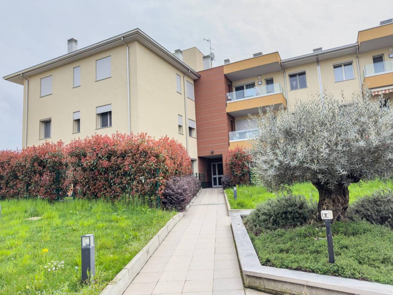 immagine annuncio 1 di 15