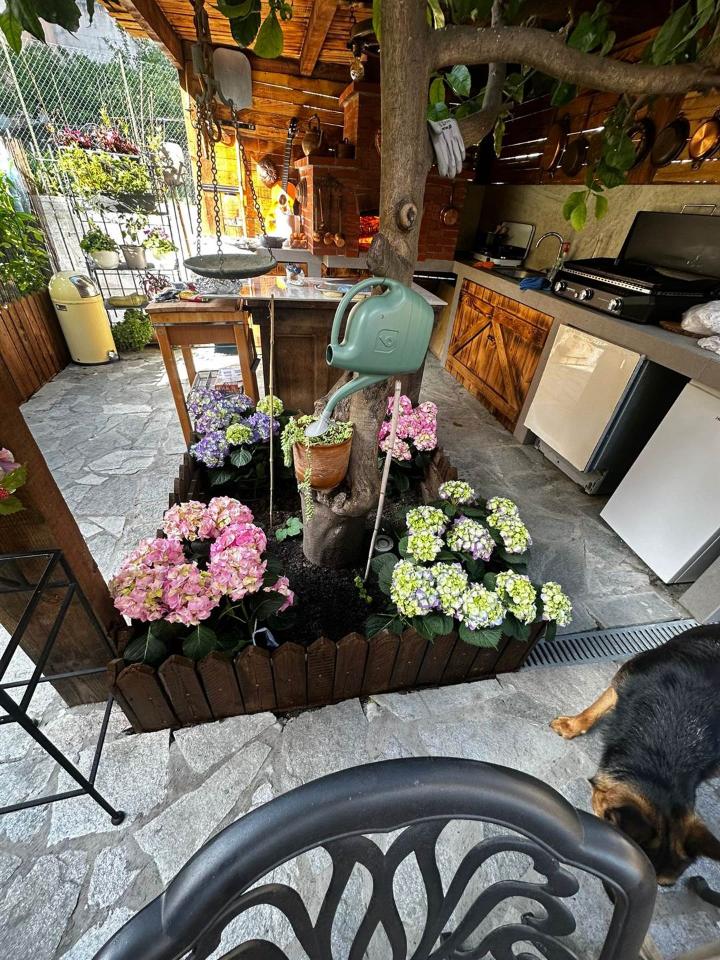 immagine annuncio 10 di 15