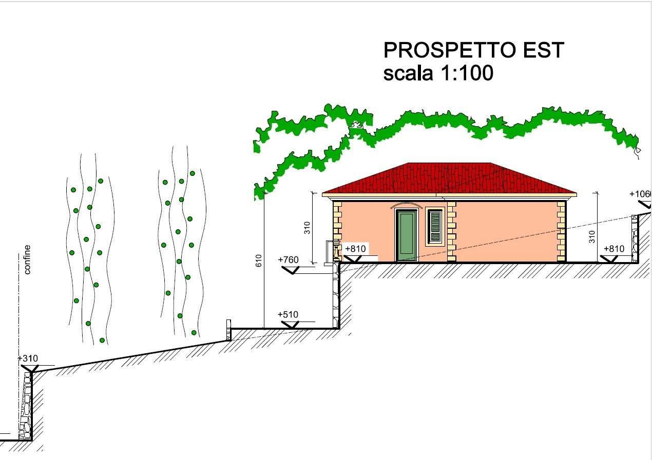 immagine annuncio 3 di 11