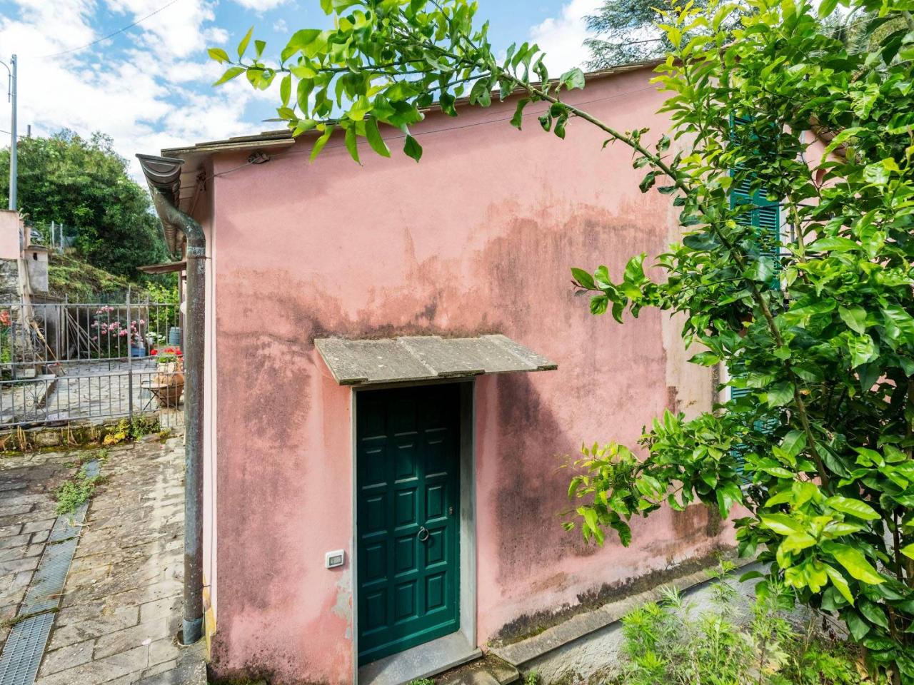 immagine annuncio 4 di 8