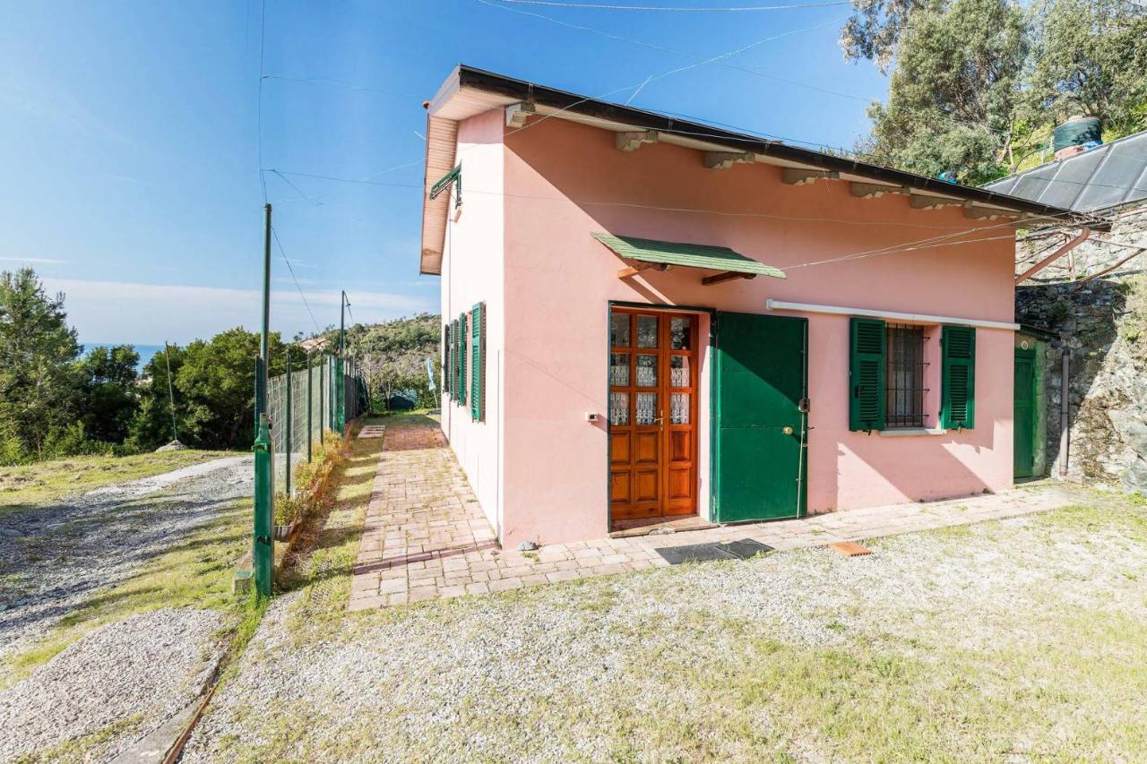 immagine annuncio 7 di 14