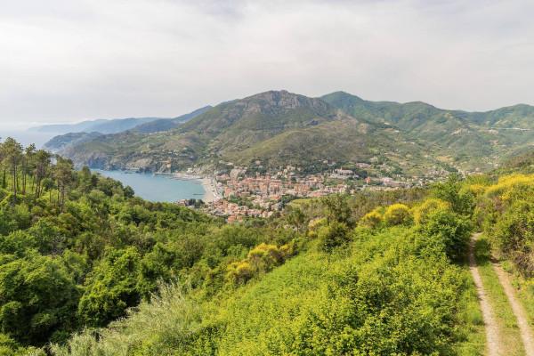 immagine annuncio 3 di 7