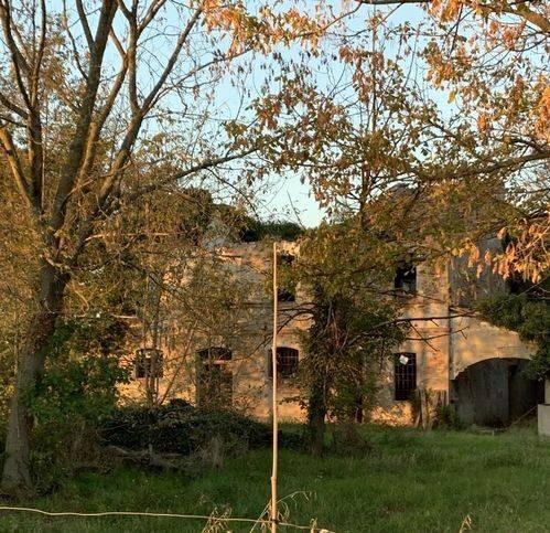 immagine annuncio 1 di 4